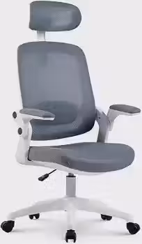 Elements Cadeira de Escritorio Ergonômica Astra com Apoio Lombar e Cabeça, Cinza/Branca