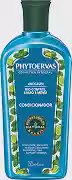 Phytoervas Condicionador Anti Caspa 250 Ml Anti Caspa